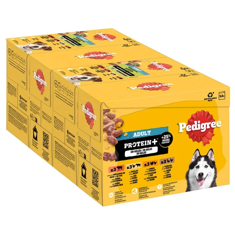Pedigree Adult Buste Protein Plus in Gelatina (Set %: 48 x 85 g (4 varianti))