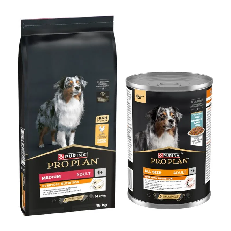 16 kg PURINA PRO PLAN Adult + 12 x 400 g alimento umido gratis! (Medium Everyday Nutrition +  All Size Adult Everyday Nutrition in Gelatina Pesce)