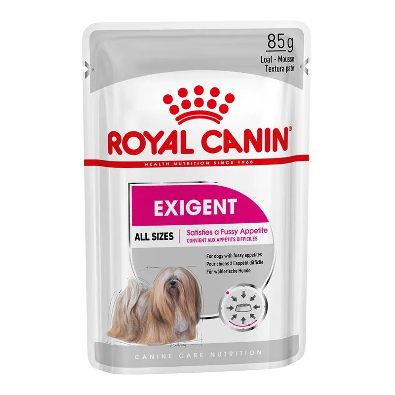 Royal Canin Mini Exigent Crocchette per cane (Come integrazione: 24 x 85 g Umido Royal Canin Exigent)
