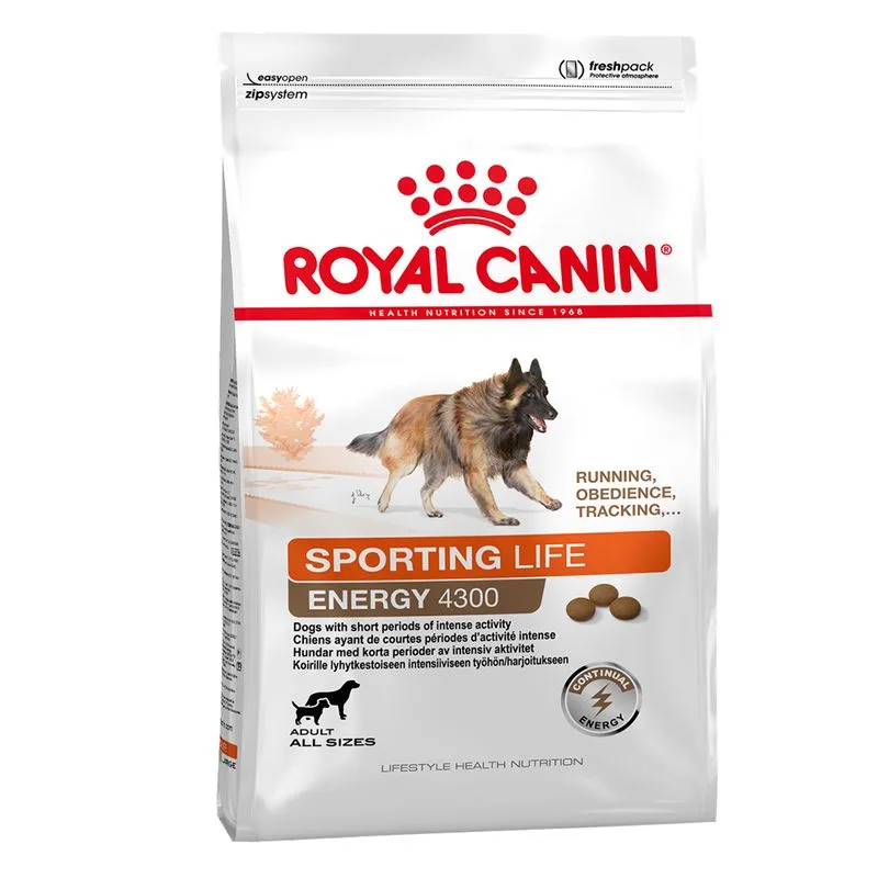 Royal Canin Sporting Life Energy Trail 4300 Crocchette per cane