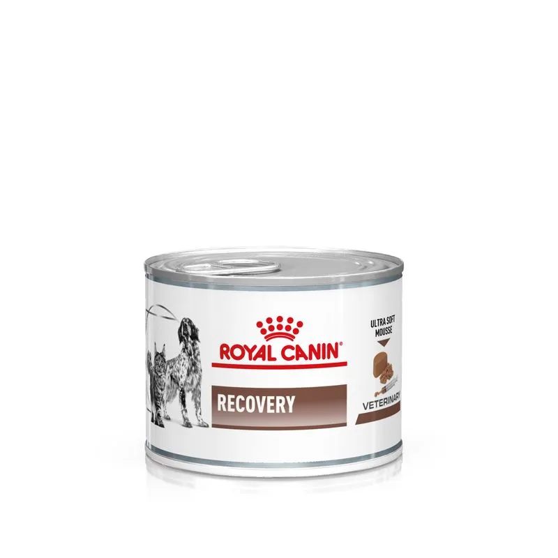 Royal Canin Recovery Veterinary Mousse cane e gatto (Set %: 48 x 195 g)