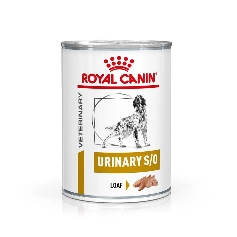 Royal Canin Urinary S/O Canine Veterinary Mousse umido per cane (Set %: 48 x 410 g)
