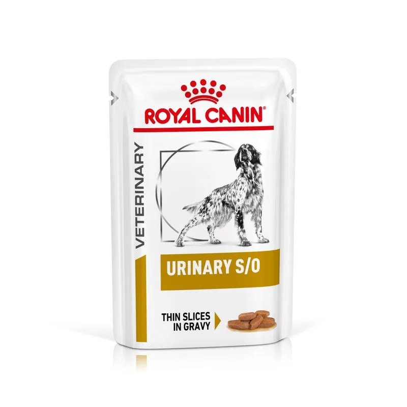Royal Canin Urinary S/O Canine Veterinary umido in salsa per cane (Set %: 48 x 100 g)