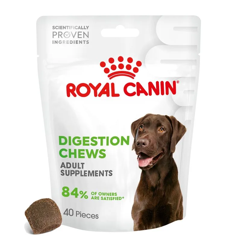 Royal Canin Digestion Chews Adult Supplement Snack cane (Set %: 6 x 160 g (240 pz))
