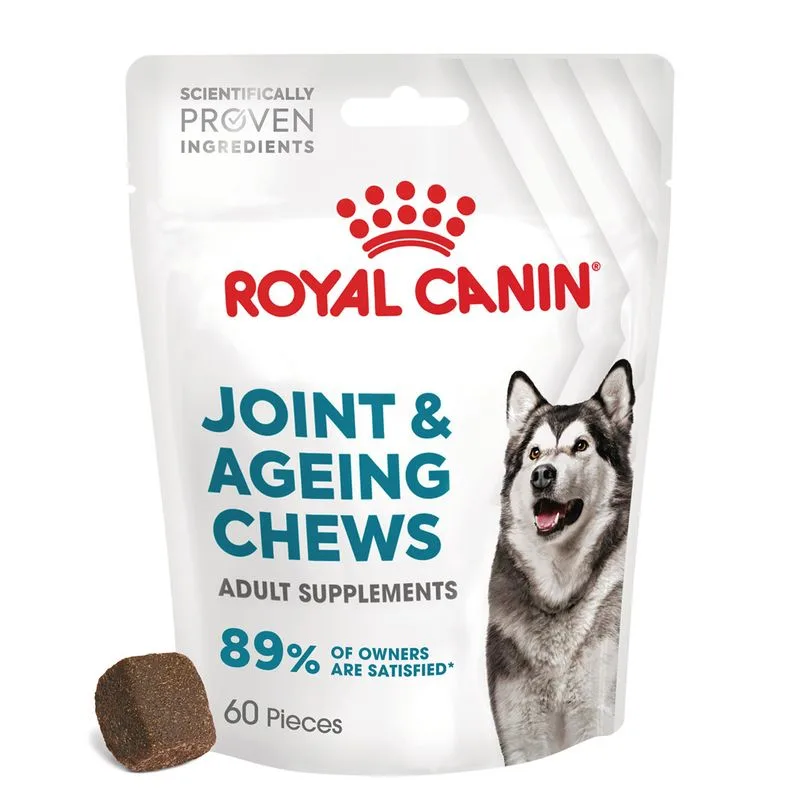 Royal Canin Joint & Ageing Adult Supplement Snack cane (Set %: 2 x 240 g (120 pz))