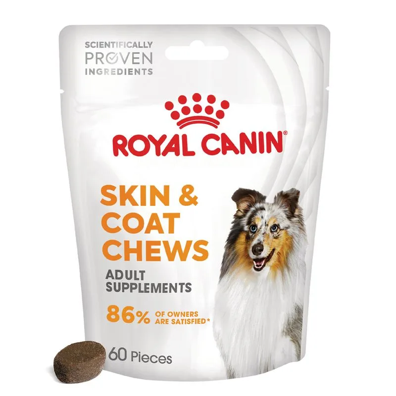 Royal Canin Skin & Coat Chews Adult Supplement Snack cane (Set %: 2 x 240 g (120 pz))