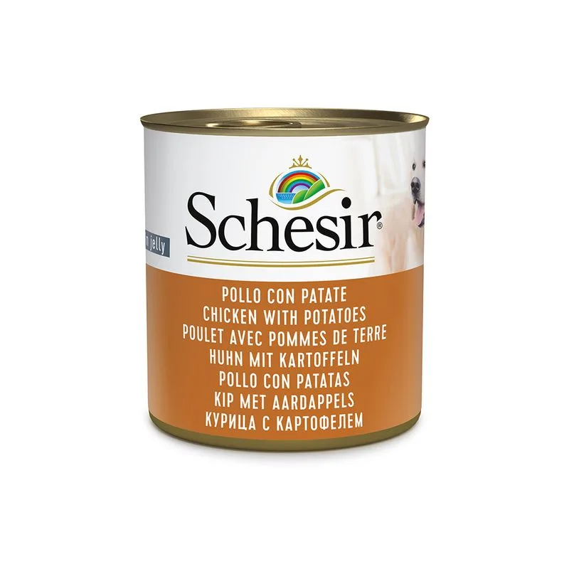 Schesir 6 x 285 g Alimento umido per cani (Pollo con Patate)