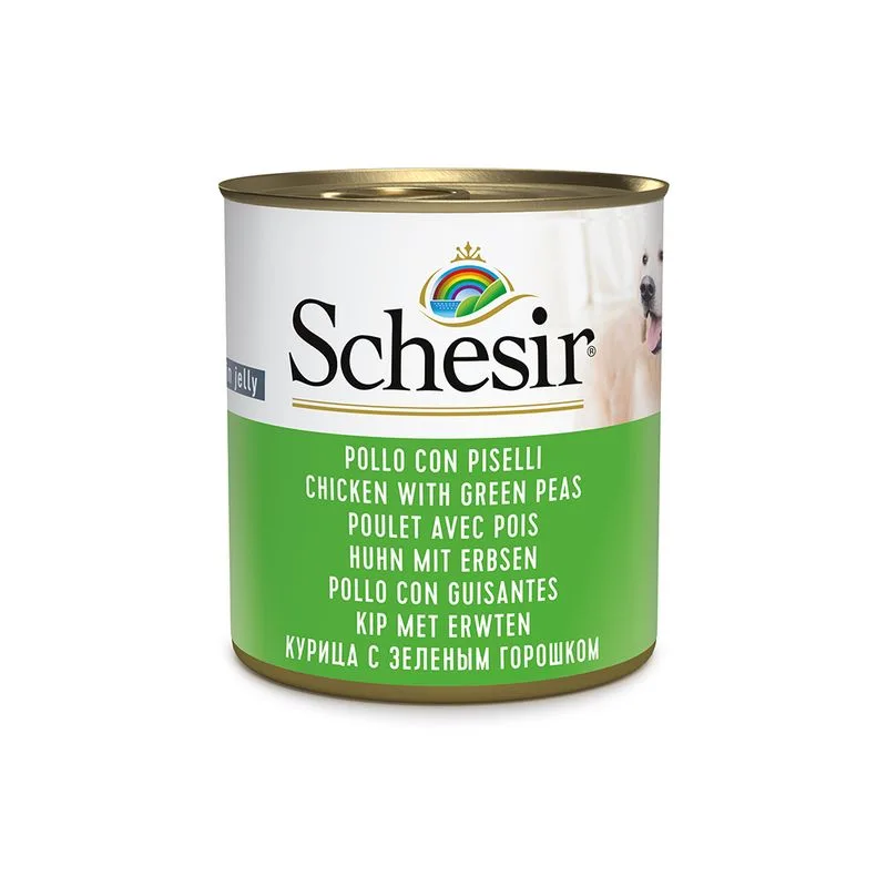 Schesir 6 x 285 g Alimento umido per cani (Pollo con Piselli)