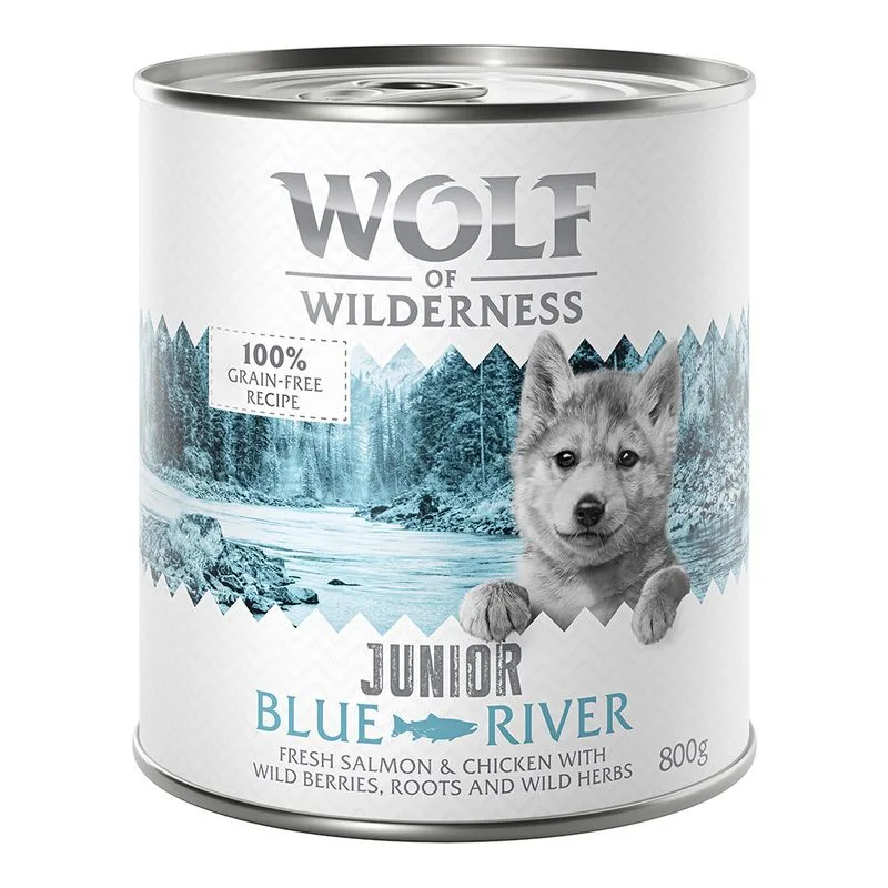 Wolf of Wilderness Junior 12 x 800 g umido per cane (Blue River - Pollo & Salmone)
