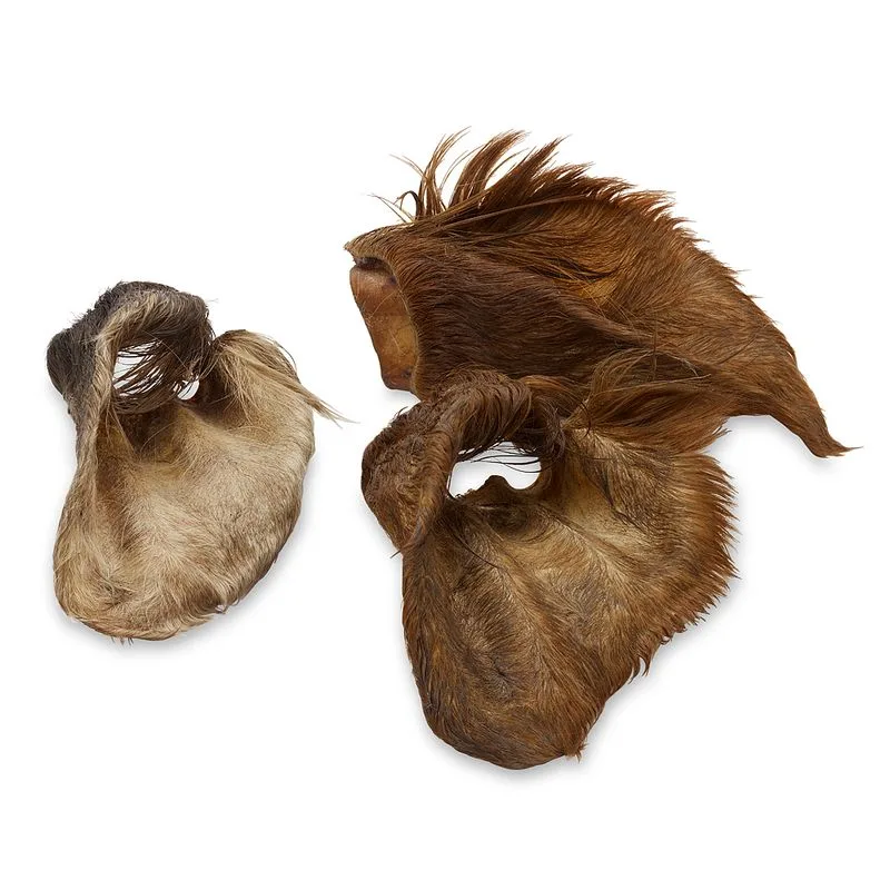 Wolf of Wilderness - Orecchie di manzo con pelo (Set %: 480 g (12 pz))