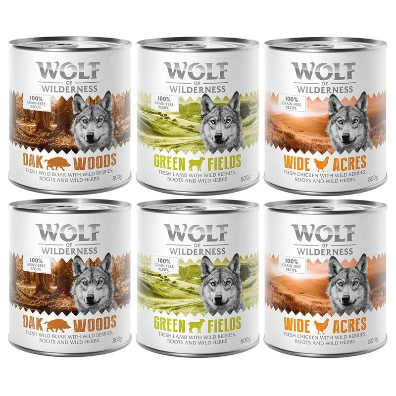 Set prova misto! Wolf of Wilderness umido per cane (6 x 800 g Adult Cinghiale, Pollo, Agnello (lattine))