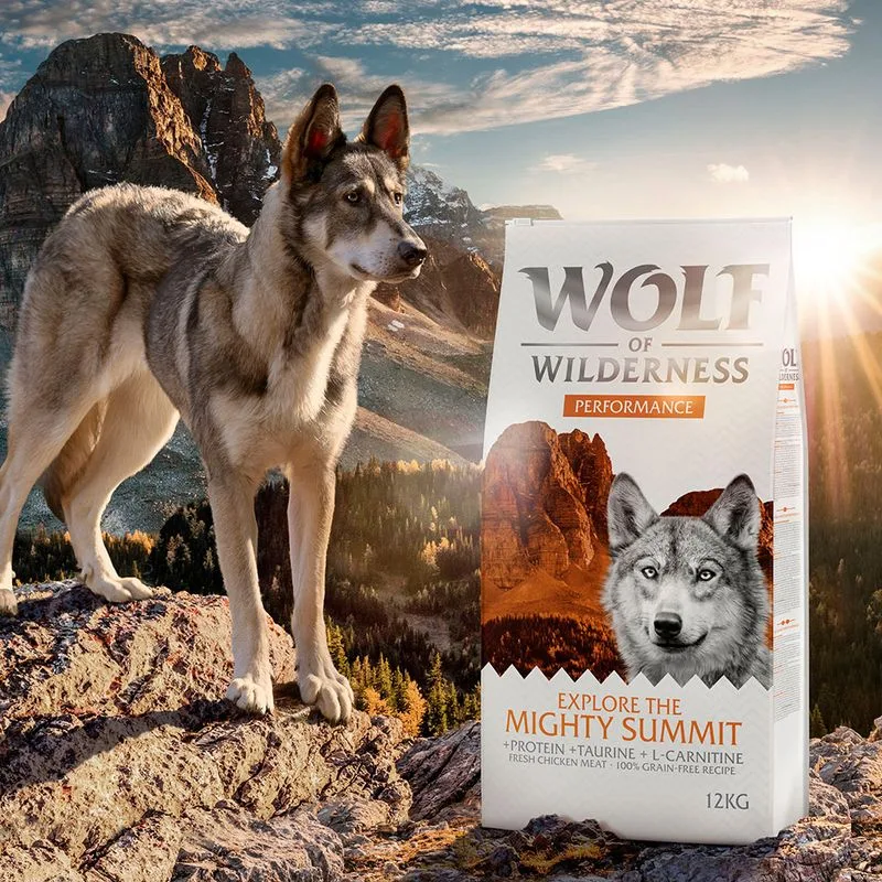 Wolf of Wilderness "Explore The Mighty Summit" - Performance (400 g - NUOVA RICETTA!)