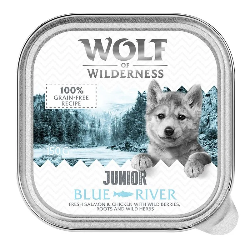 Wolf of Wilderness JUNIOR Duo-Protein 6 / 24 x 150 g umido cane (24 x 150 g Blue River - Pollo & Salmone)
