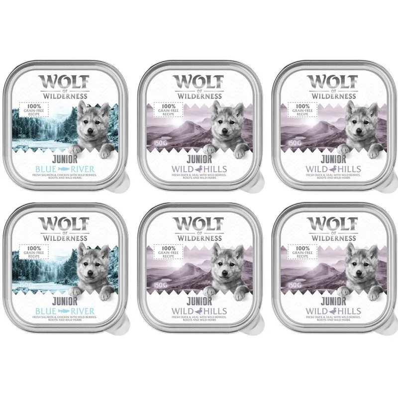 Wolf of Wilderness JUNIOR Duo-Protein 6 / 24 x 150 g umido cane (24 x 150 g: 16x Anatra & Vitello, 8x Pollo & Salmone)