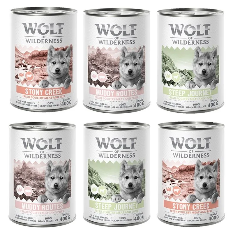 Wolf of Wilderness Junior "Expedition" 6 x 400 g umido cane