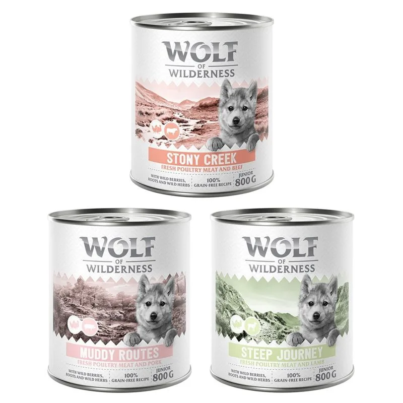 Wolf of Wilderness Junior "Expedition" 6 x 800 g umido per cane (Mix: 2x Pollame con Maiale, 2x Pollame con Agnello, Pollame con Manzo)
