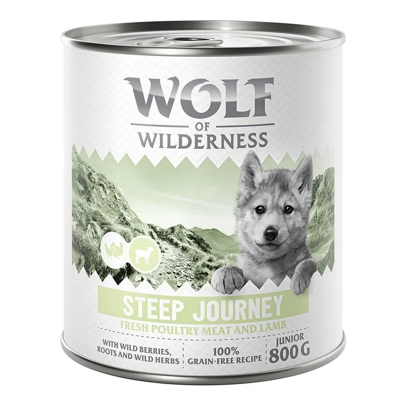 Wolf of Wilderness Junior "Expedition" 6 x 800 g umido per cane (Steep Journey - Pollame con Agnello)