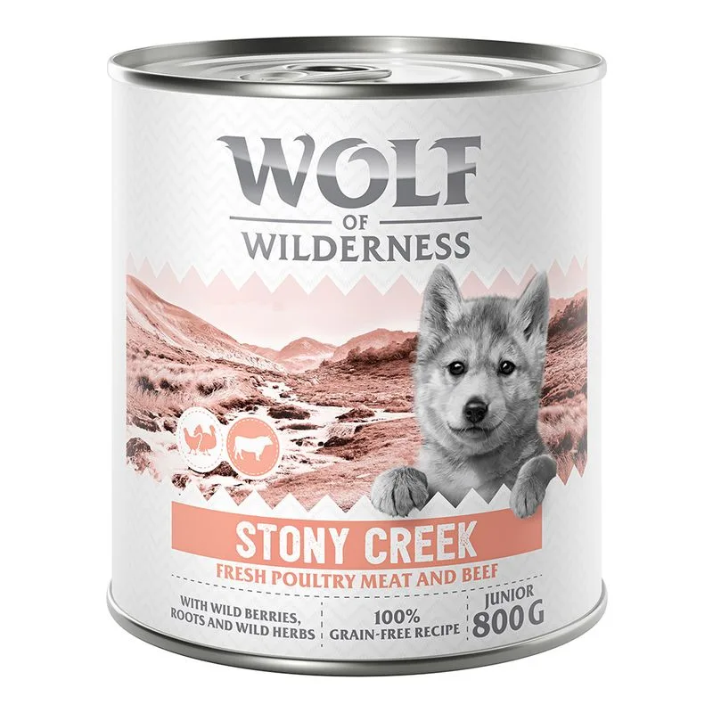 Wolf of Wilderness Junior "Expedition" 6 x 800 g umido per cane (Stony Creek - Pollame con Manzo)