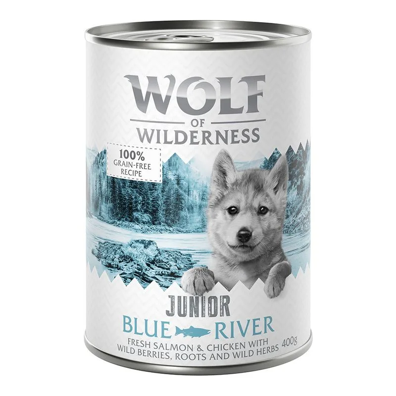 Wolf of Wilderness Junior 24 x 400 g umido per cane (Blue River - Pollo & Salmone)