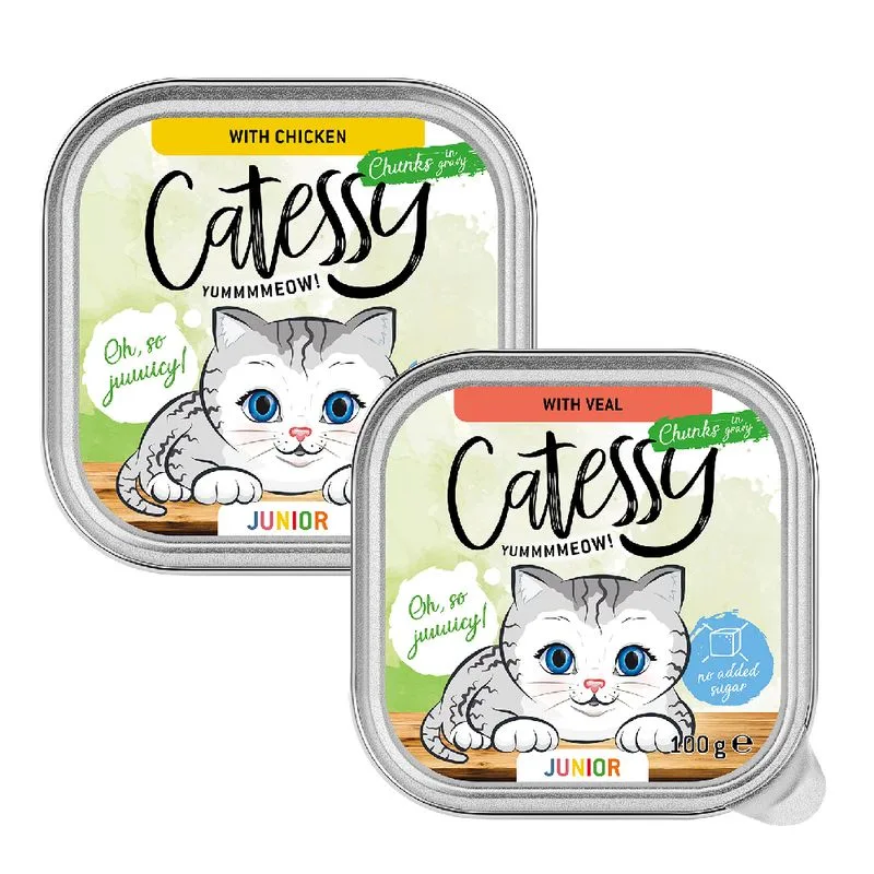 Catessy Bocconcini Junior in Salsa Mix 2 gusti (16 x 100 g)