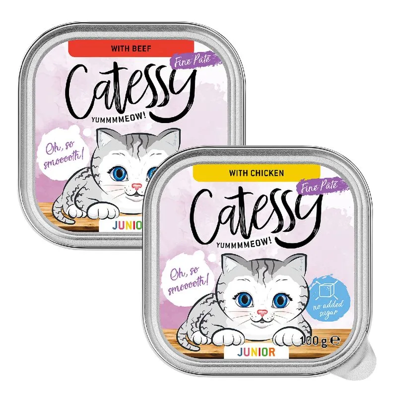 Mix Catessy Junior Paté Umido per gattini (Set %: 32 x 100 g)